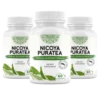 Nicoya PuraTea™ – Natural Herbal Blend for Deep Sleep & Lasting Weight Loss
