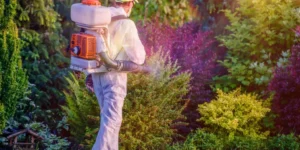 What Are the Top Tips for Pest Control in Each Season?