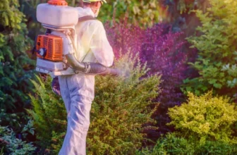 What Are the Top Tips for Pest Control in Each Season?