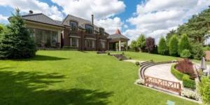 What Are the Key Steps in Overseeding Your Lawn?